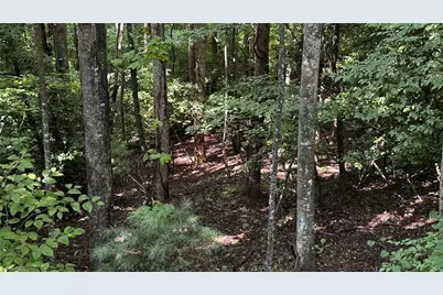 00C Higgins Road, Wilkesboro, NC 28697 - Photo 8