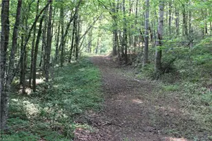 2541 Collinstown Road, Westfield, NC 27053 - Photo 20