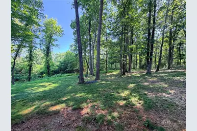 74 Forest Lane, Ennice, NC 28623 - Photo 24