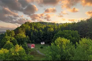 11526 US Hwy 421, Purlear, NC 28665 - Photo 1