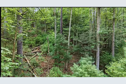 11526 US Highway 421, Purlear, NC 28665 - Photo 40