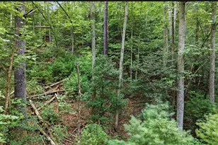 11526 US Hwy 421, Purlear, NC 28665 - Photo 40