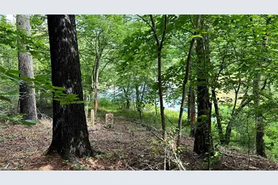 00C High Point Cove, Wilkesboro, NC 28697 - Photo 16