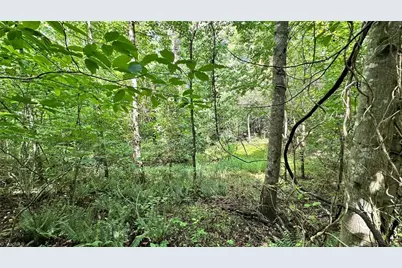 00C High Point Cove, Wilkesboro, NC 28697 - Photo 12