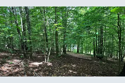 00C High Point Cove, Wilkesboro, NC 28697 - Photo 14