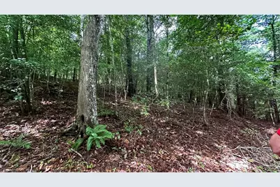 00D High Point Cove, Wilkesboro, NC 28697 - Photo 8