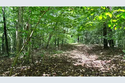 00E High Point Cove, Wilkesboro, NC 28697 - Photo 12