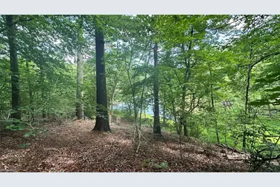 00E High Point Cove, Wilkesboro, NC 28697 - Photo 6