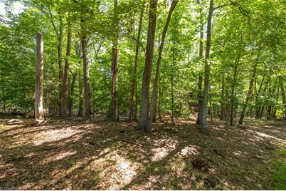7289 Plunkett Road, Belews Creek, NC 27357 - Photo 10