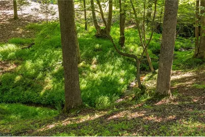 7289 Plunkett Road, Belews Creek, NC 27357 - Photo 18