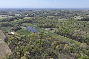 7165 Summerdale Rd, Elon, NC 27244 - Photo 4