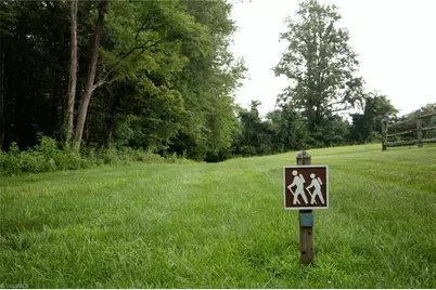 Tbd McIntosh Drive, Lowgap, NC 27024 - Photo 20