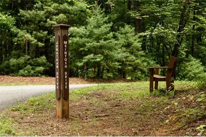 Tbd McIntosh Drive, Lowgap, NC 27024 - Photo 4