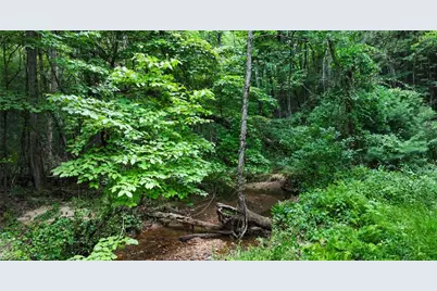 Tbd McIntosh Drive, Lowgap, NC 27024 - Photo 48