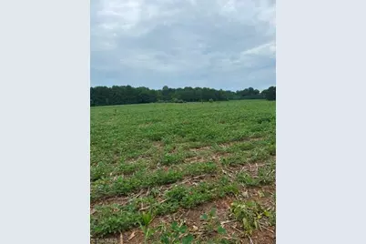 0 Friendship Circle Road, East Bend, NC 27018 - Photo 6