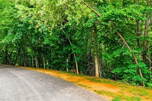 8006 Chatsworth Ct, Browns Summit, NC 27214 - Photo 1