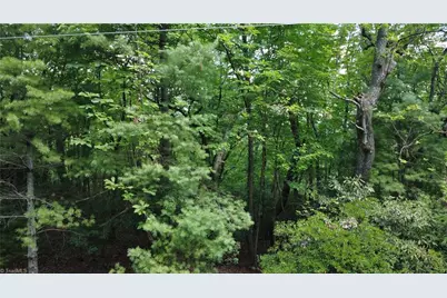 Lot 87 McIntosh Drive, Lowgap, NC 27024 - Photo 4