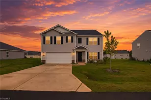 167 Birch Tree Wy, Mayodan, NC 27027 - Photo 1