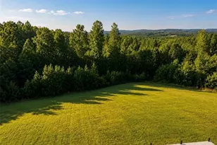 474 Surry Gadsberry Rd, Pilot Mountain, NC 27041 - Photo 48