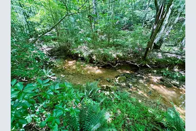 243 Hunter Ridge Lane, Ararat, NC 27007 - Photo 30