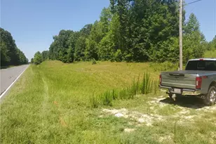 Lt5 Nc Hwy 134, Star, NC 27356 - Photo 1