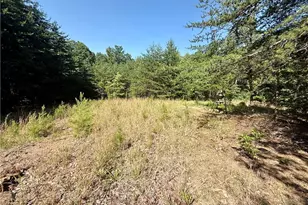 900 Smokey Mountain Trail, North Wilkesboro, NC 28659 - Photo 20