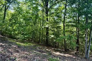 900 Smokey Mountain Trail, North Wilkesboro, NC 28659 - Photo 18
