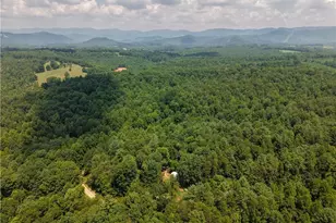 1005 Brewer Mill Road Ext, Traphill, NC 28685 - Photo 24