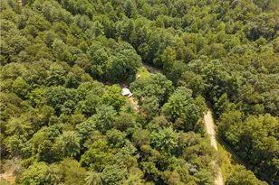 1005 Brewer Mill Road Ext, Traphill, NC 28685 - Photo 22