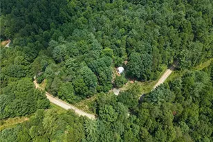 1005 Brewer Mill Road Ext, Traphill, NC 28685 - Photo 20