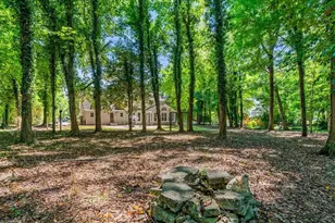 8802 Cedar Spring Dr, Colfax, NC 27235 - Photo 50