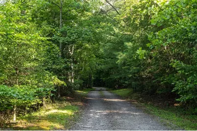 Tbd Boone Trail, Purlear, NC 28665 - Photo 8