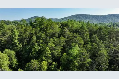 Tbd Boone Trail, Purlear, NC 28665 - Photo 10