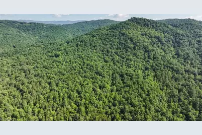 0000 Boone Trail, Purlear, NC 28665 - Photo 40