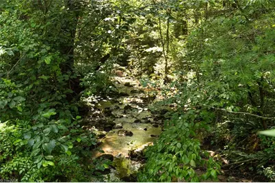 0000 Boone Trail, Purlear, NC 28665 - Photo 2