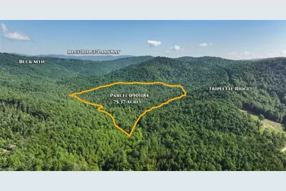 0000 Boone Trail, Purlear, NC 28665 - Photo 6