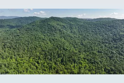 0000 Boone Trail, Purlear, NC 28665 - Photo 34