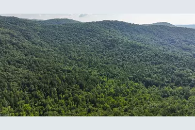 0000 Boone Trail, Purlear, NC 28665 - Photo 8