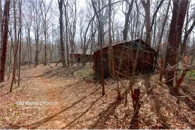 0 Johnson Farm Road #1, Pilot Mountain, NC 27041 - Photo 4