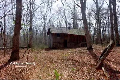 0 Johnson Farm Road #1, Pilot Mountain, NC 27041 - Photo 2