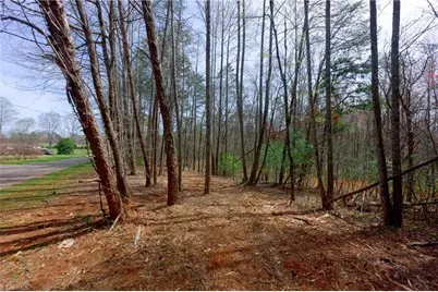 0 Johnson Farm Road #1, Pilot Mountain, NC 27041 - Photo 8