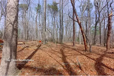 0 Johnson Farm Road #2, Pilot Mountain, NC 27041 - Photo 4