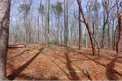 0 Johnson Farm Road #2, Pilot Mountain, NC 27041 - Photo 10