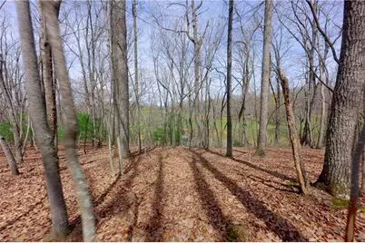 0 Johnson Farm Road #2, Pilot Mountain, NC 27041 - Photo 12