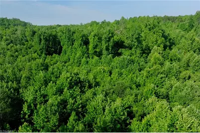 0 Todd Road, Advance, NC 27006 - Photo 36