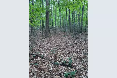 1070 Elm Street, Danbury, NC 27016 - Photo 1