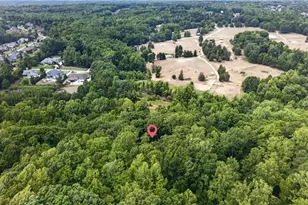 6809 Brookbank Rd, Summerfield, NC 27358 - Photo 48