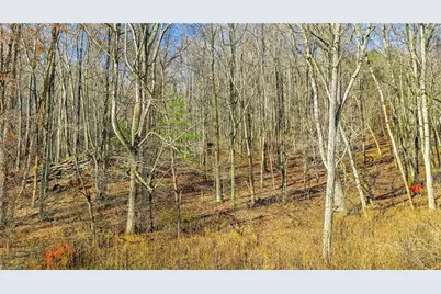 1451 Elliott Road, West Jefferson, NC 28694 - Photo 6