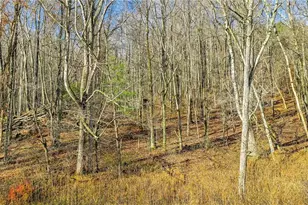 1451 Elliott Rd, West Jefferson, NC 28694 - Photo 6