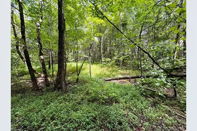 Lot 2 Cypress Drive, Reidsville, NC 27320 - Photo 2